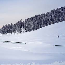 Ningli Nalla in Gulmarg