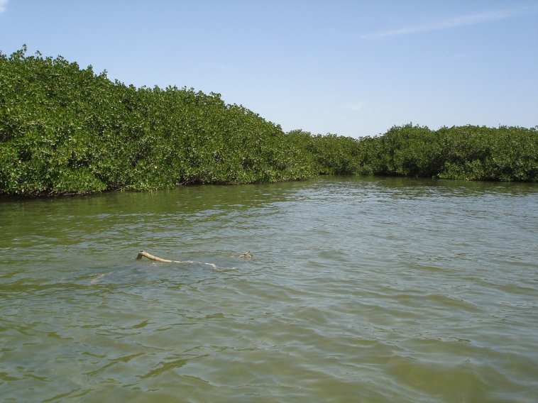 Niumi National Park in Niumi
