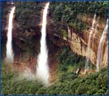 Nohkalikai Falls,Noh Kalikai Falls in Cherrapunji,