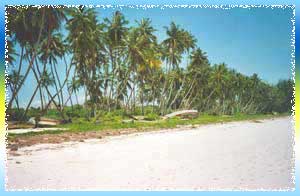 North Coast Beaches in Malindi