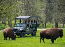 Northwest Trek Wildlife Park in Seattle