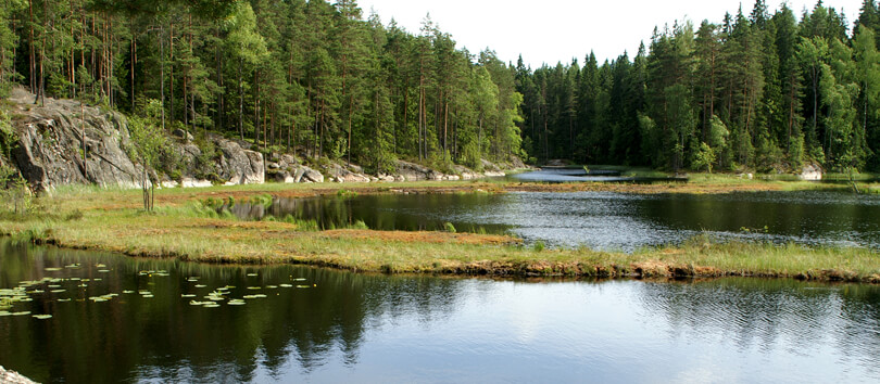 Nuuksio National Park