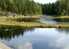 Nuuksio National Park in Helsinki