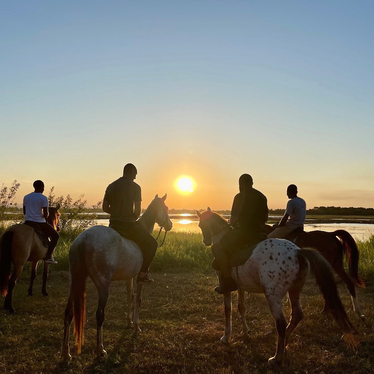 Nyika Horse Safaris in Lilongwe