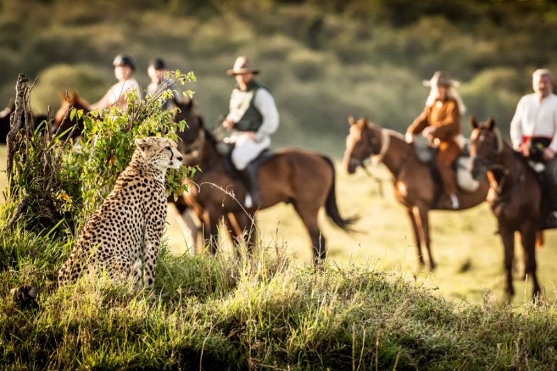 Offbeat Horse Safaris