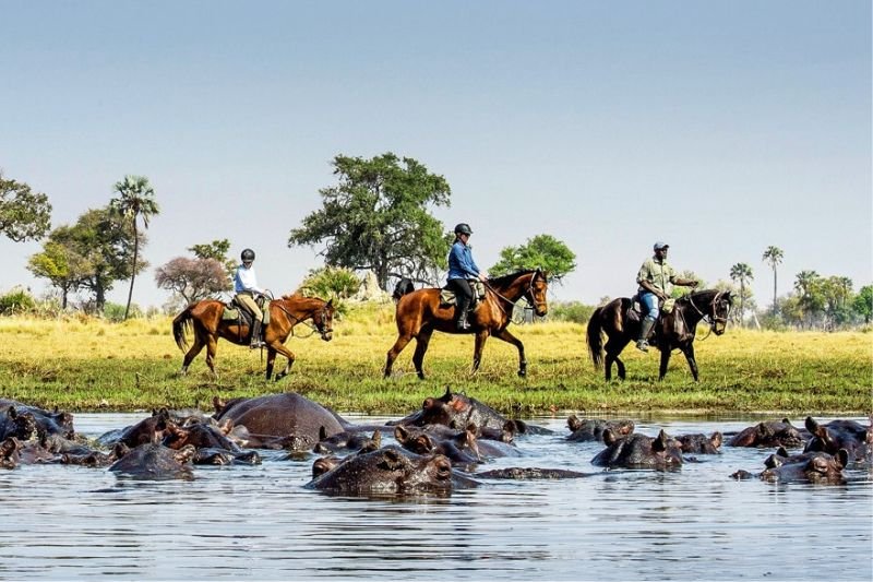 Okavango Delta