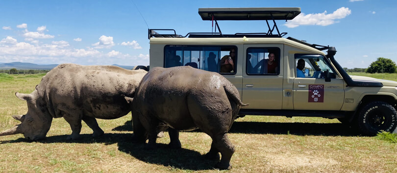 Ol Pejeta Conservancy