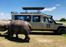 Ol Pejeta Conservancy in Nanyuki