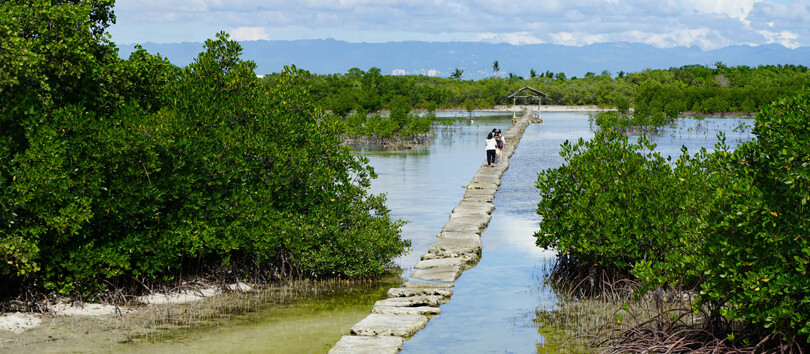 Olango Wildlife Sanctuary