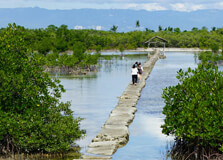 Olango Wildlife Sanctuary in Cebu