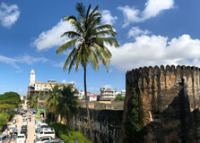Old Fort of Zanzibar in Zanzibar