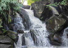 Oloolua Nature Trail in Nairobi