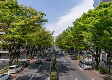 Omotesando in Tokyo