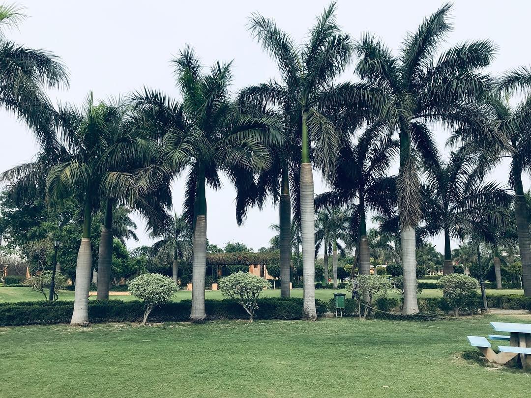 OP Jindal Park in Yamuna Nagar