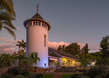 Orchid House in Bloemfontein