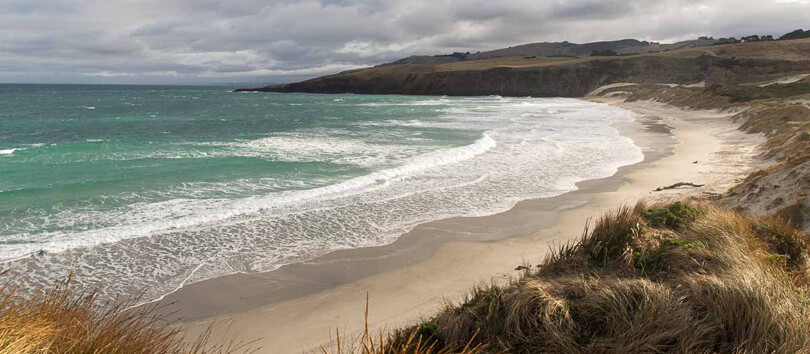 Otago Peninsula