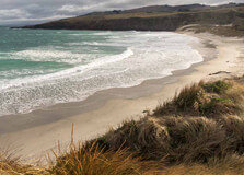 Otago Peninsula in Otago