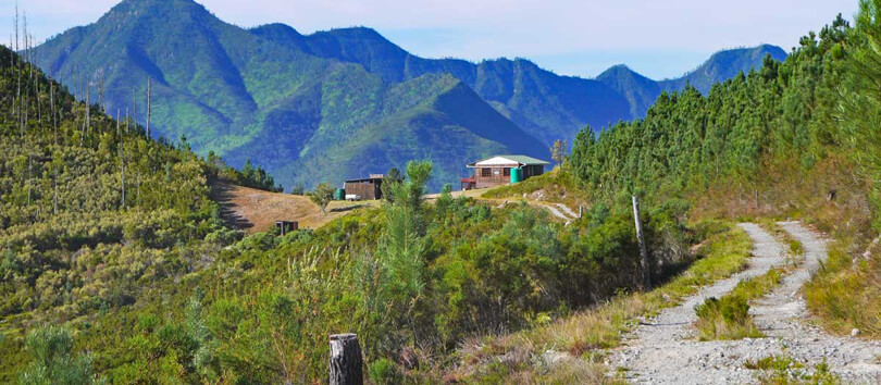 Outeniqua Nature Reserve