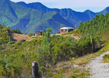Outeniqua Nature Reserve in Garden Route