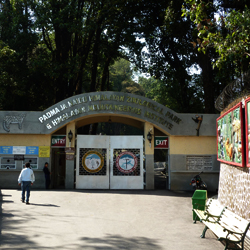 Padmaja Naidu Himalayan Zoological Park in Darjeeling