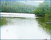 Pakhal Lake,Lakes & River in Andhra Pradesh,Pakhal