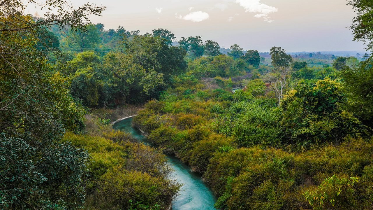 Pakhal Lake Wildlife Sanctuary in Warangal