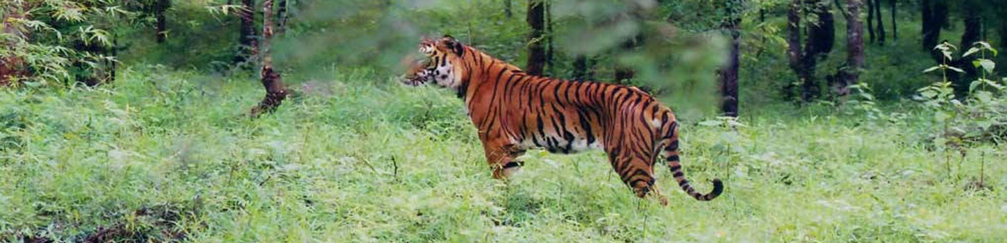 Pakhui Wildlife Sanctuary