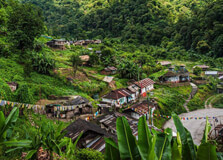 Pakhui Wildlife Sanctuary in Bhalukpong