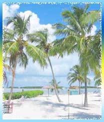 Palm Beach in Florida (Fl)