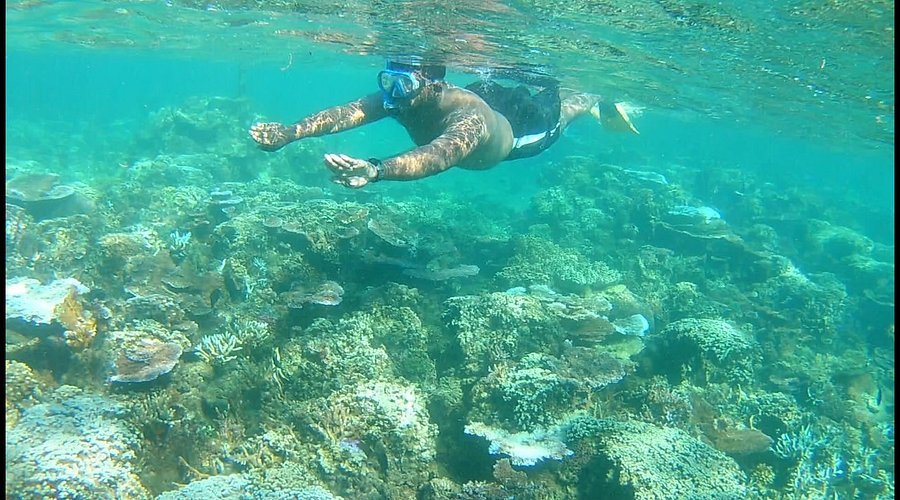 Palolo Deep Marine Reserve in Apia