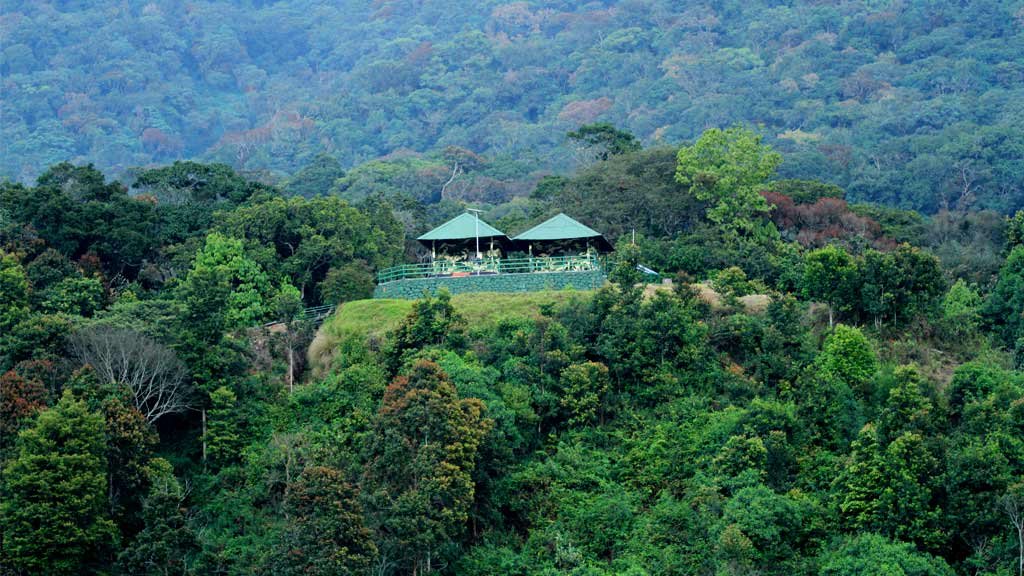Pampadam Shola National Park in Idukki