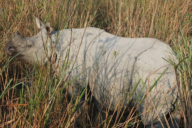 Panbari Reserve Forest in Golaghat