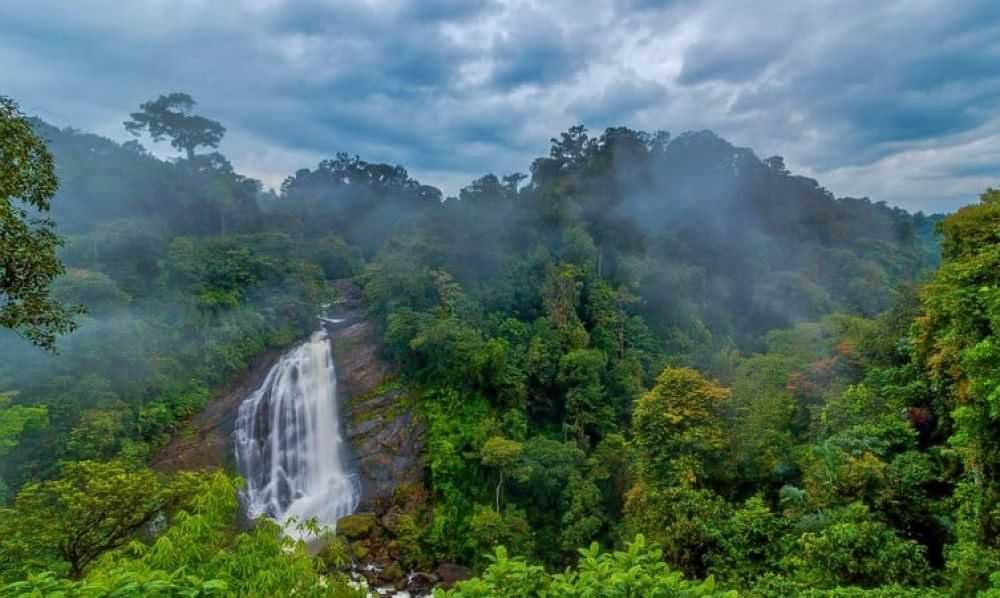 Pandikuzhi in Thekkady