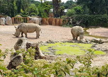 Parco Faunistico Le Cornelle in Bergamo