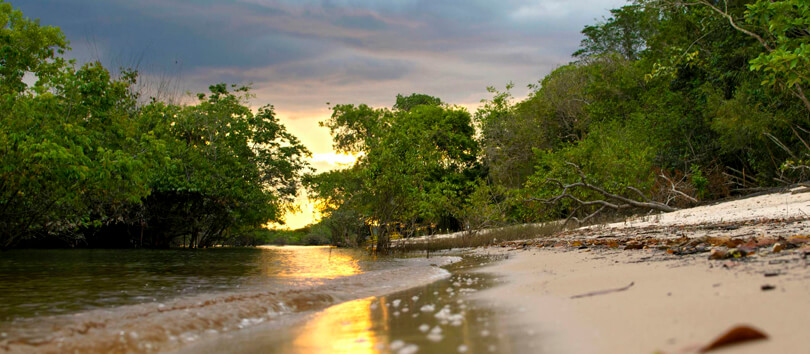Parque Ecologico Januari