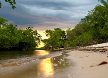 Parque Ecologico Januari in Manaus