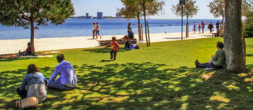 Parque Urbano de Albarquel