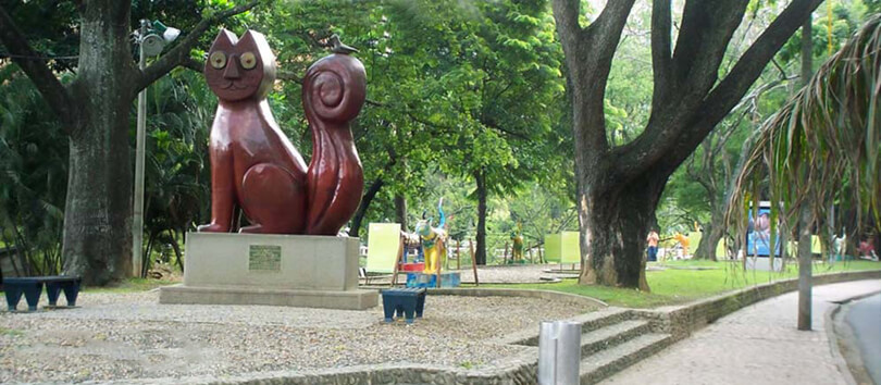 Parque de los Gatos