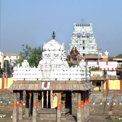 Parthasarathy Temple in Chennai