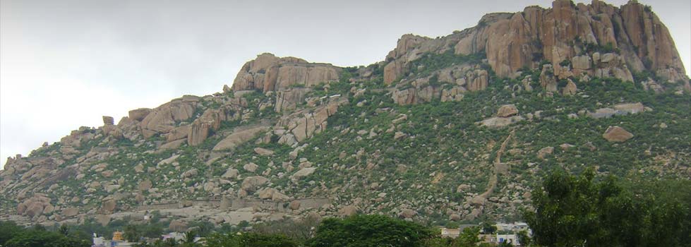 Pavagada Fort