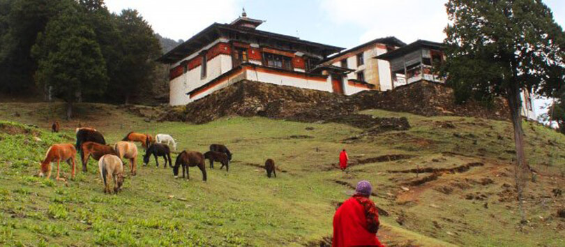 Phajoding Monastery