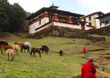 Phajoding Monastery in Thimphu