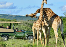 Phezulu Safari Park in Durban