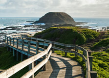 Phillip Island in Victoria (Australia)