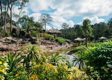 Phu Quoc National Park in Phu Quoc Island