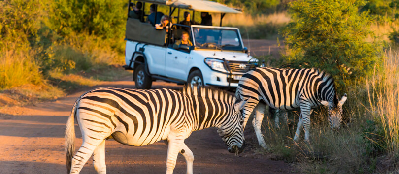 Pilanesberg National Park