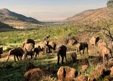 Pilanesberg National Park