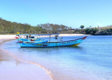 Pink Beach in Lombok