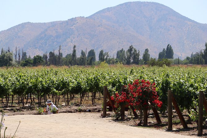 Pomaire and Maipo Valley in Santiago