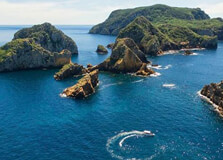 Poor Knights Islands Marine Reserve in Whangarei
